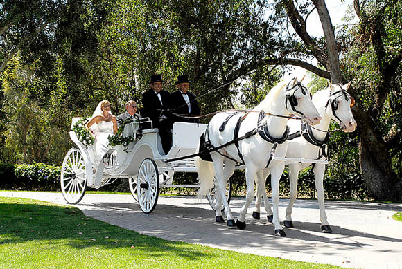 Транспорт на эко свадьбу
